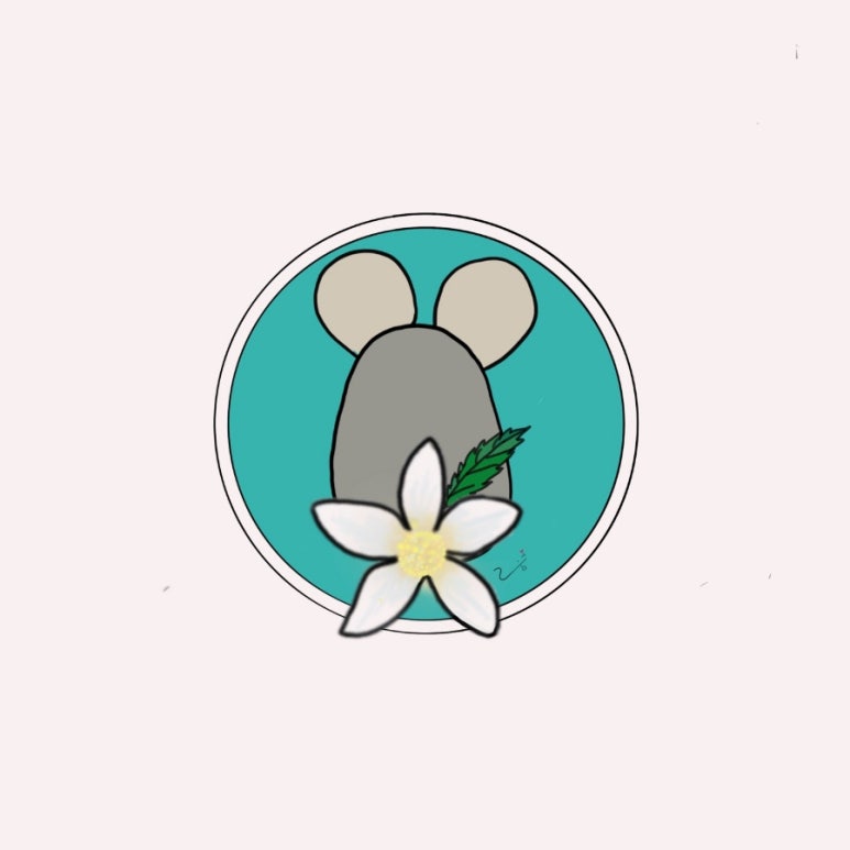 디자인움 이미지