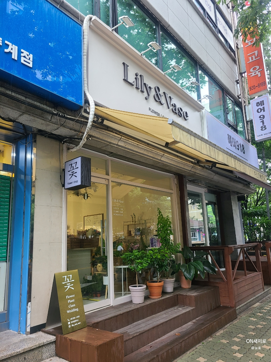릴리앤베이스 이미지