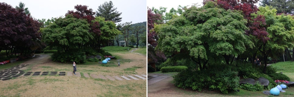 루비노래연습장 이미지