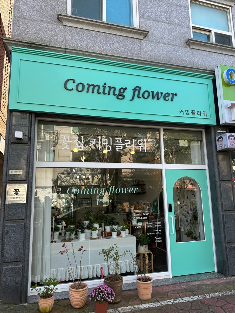 커밍플라워 이미지