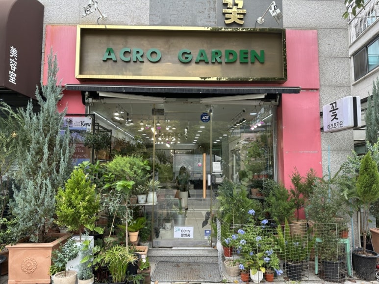 아크로꽃집 이미지