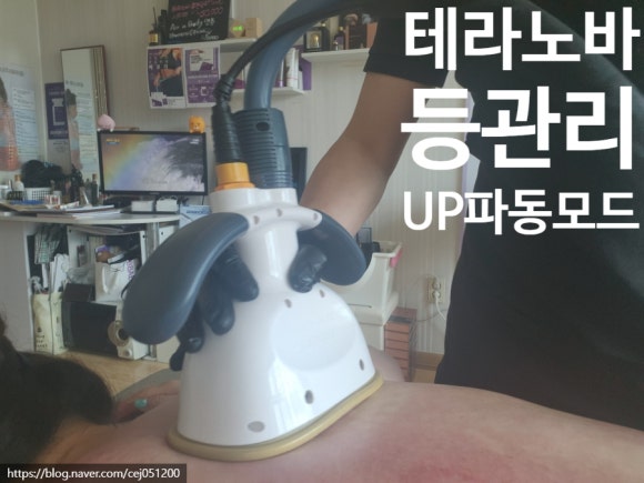 테라윤 이미지
