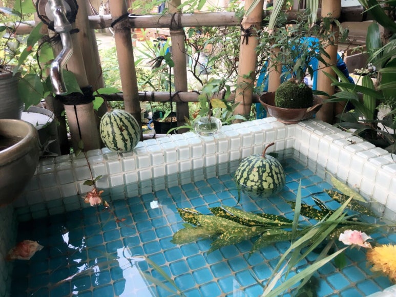 수요일꽃집 이미지