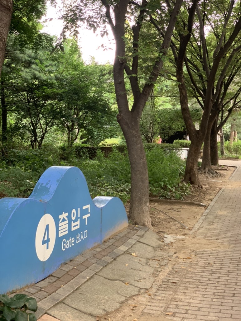 베델로즈피크닉 이미지