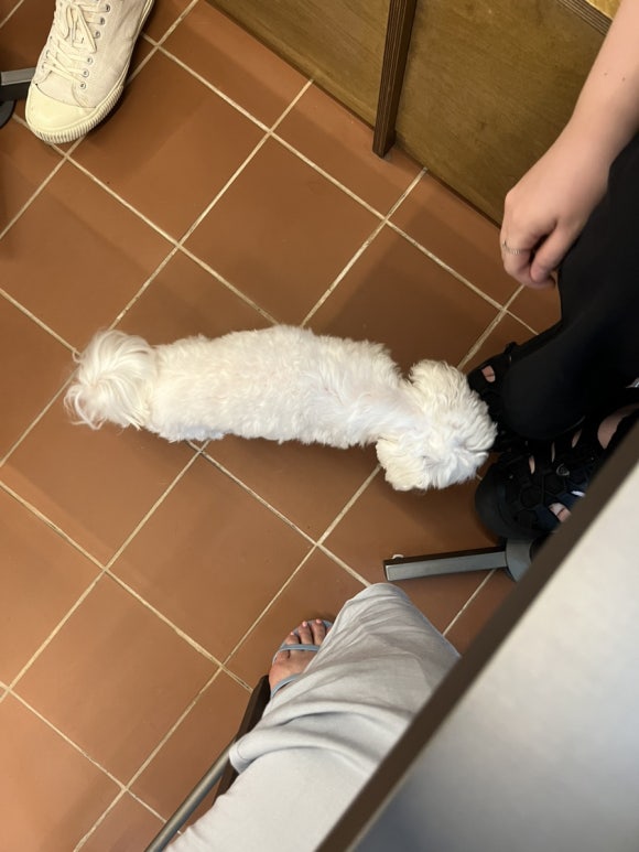 대루커피 이미지