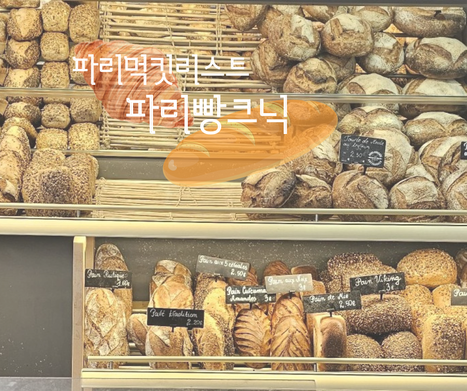 펠리스트 이미지