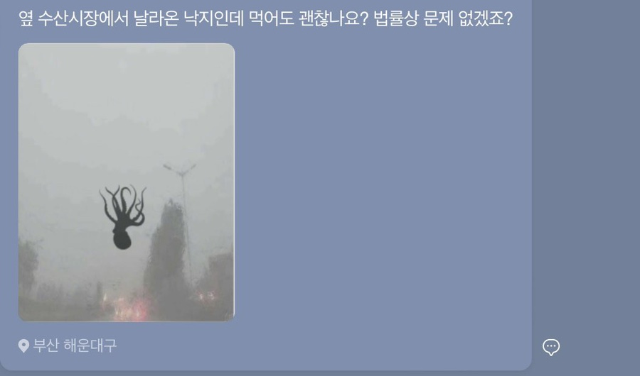 우리해 이미지