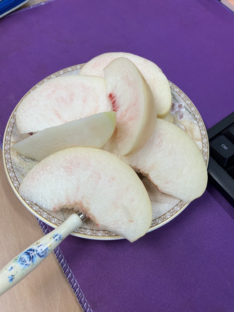 예강설렁탕 이미지