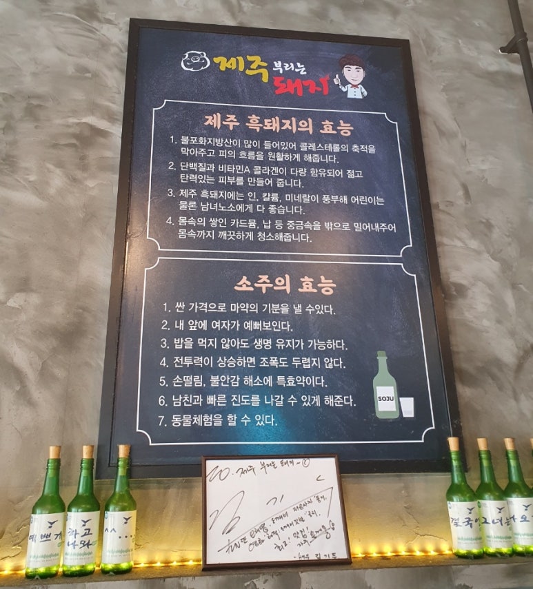 제주부리는돼지 이미지