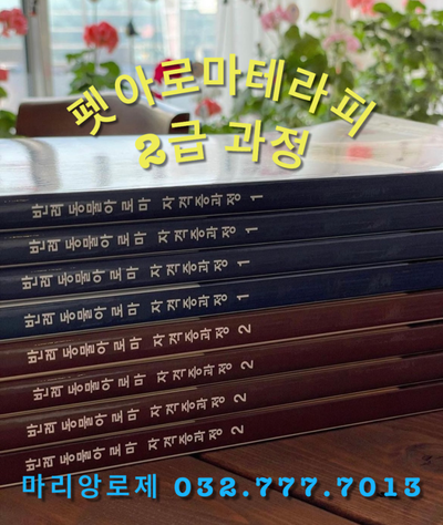 마리앙로제 이미지