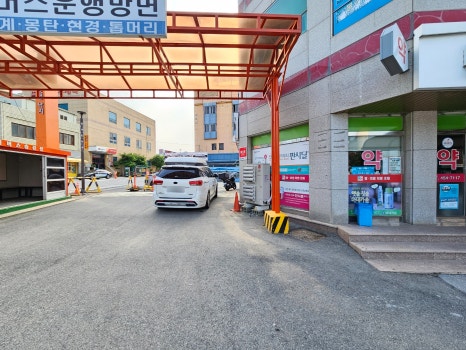 문어의꿈무안 이미지