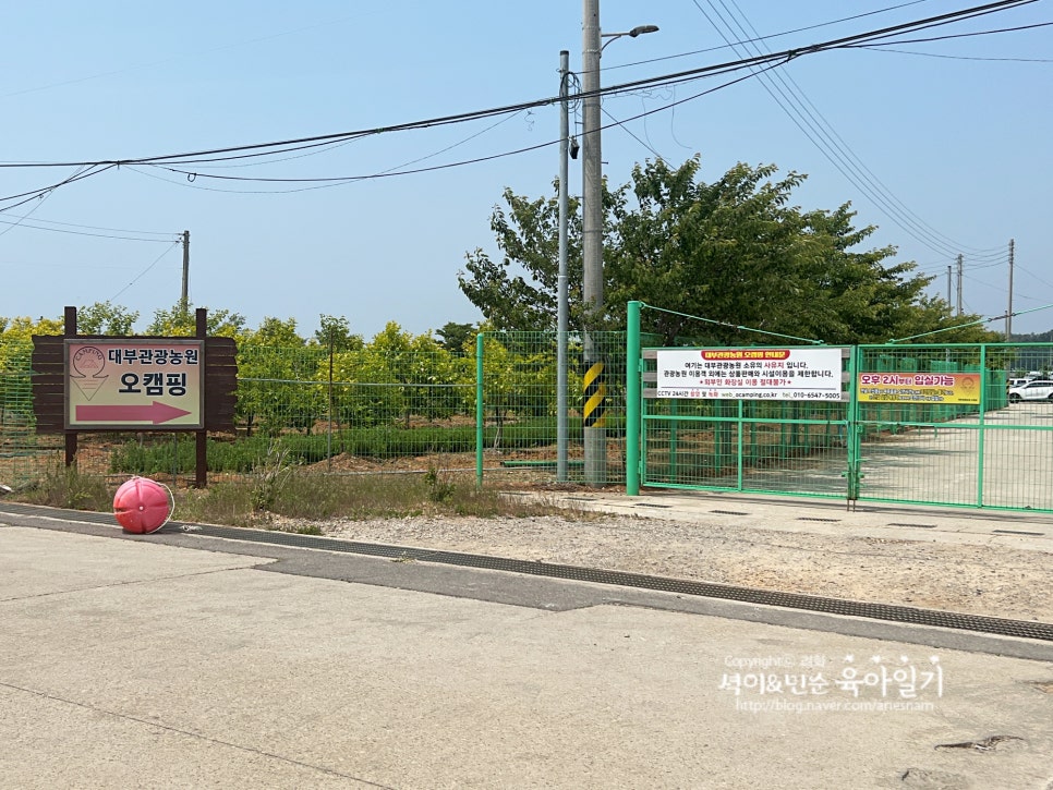대부관광농원 오캠핑 이미지