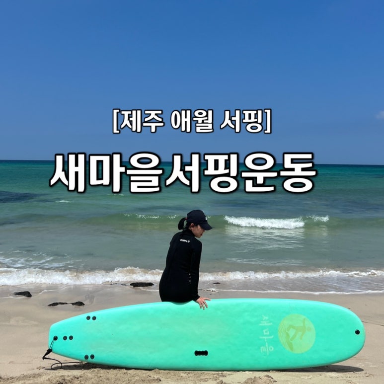 새마을서핑운동 이미지