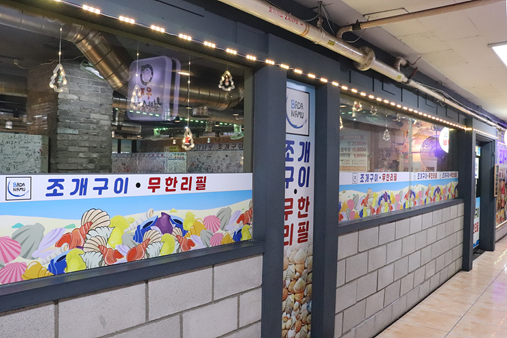 바다나무 이미지