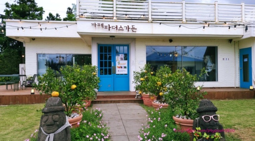 제주카페 이미지