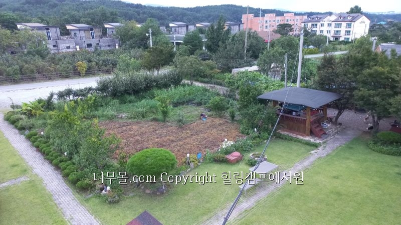 수형유통 이미지