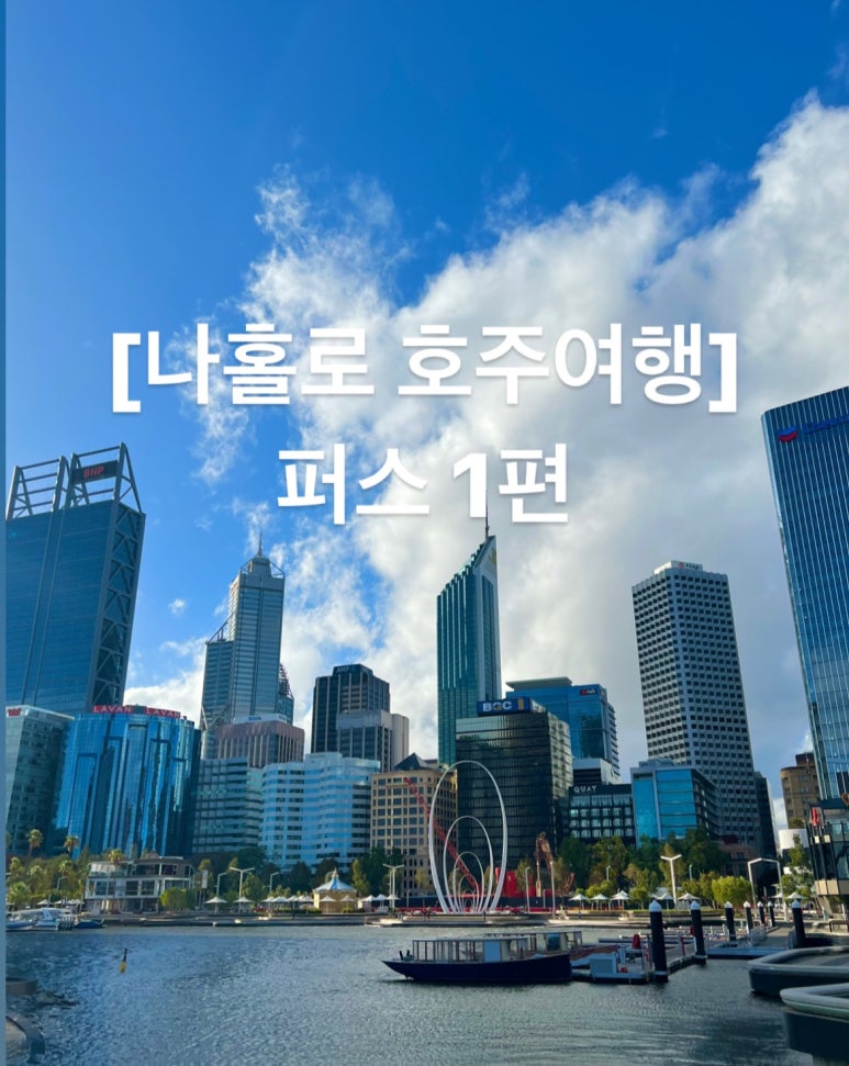 슬로우벨 이미지