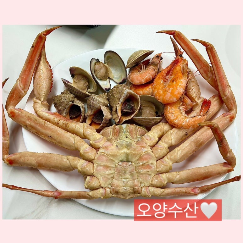 오양농수산물 이미지