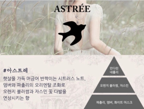 메종엠 이미지