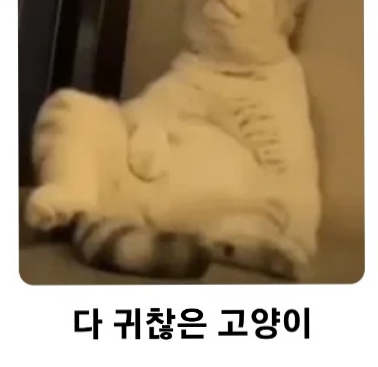 유람선회관 이미지
