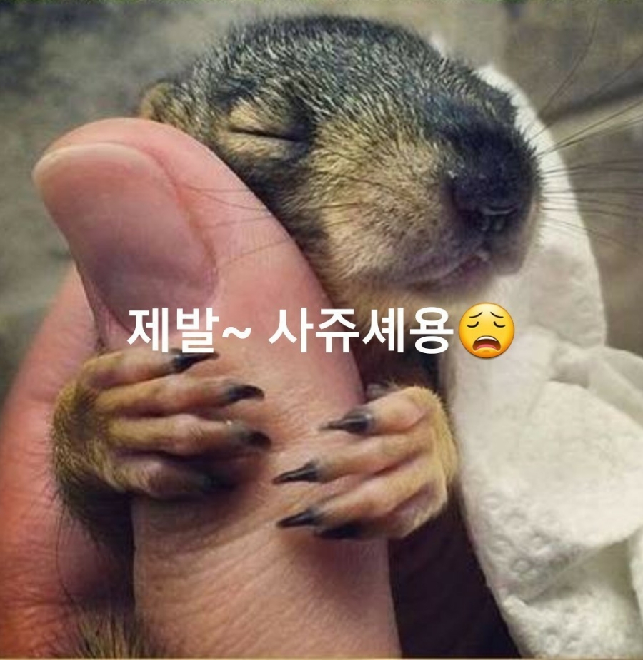 퍼니비 이미지