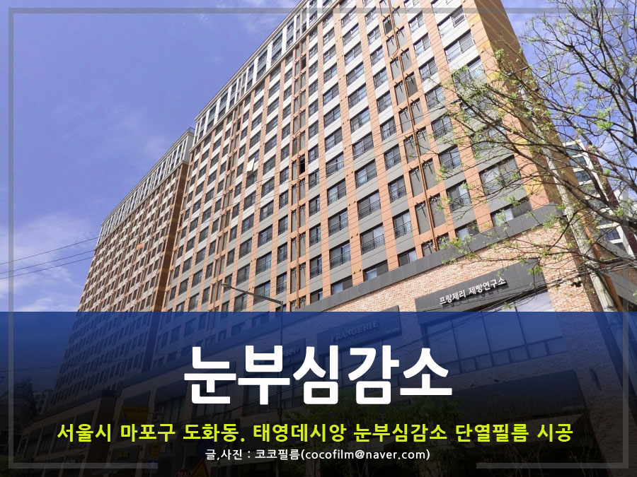 썬가드공식총판코코필름 이미지