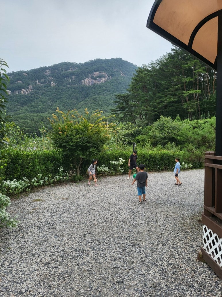여울침구 이미지
