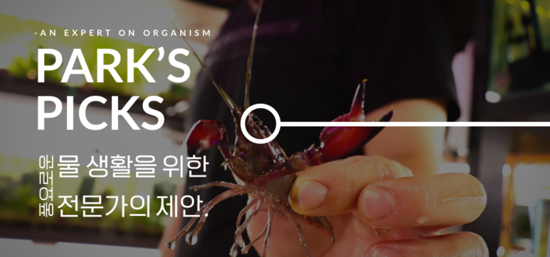 박스(Park.s) 이미지