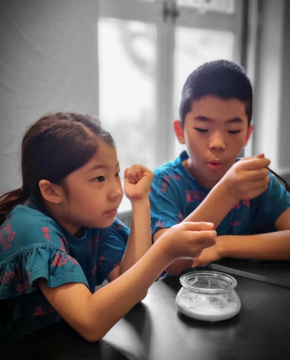 파파스브로트 이미지
