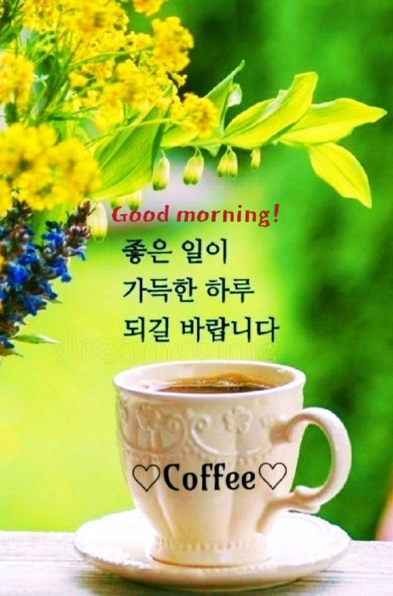 오늘커피 이미지