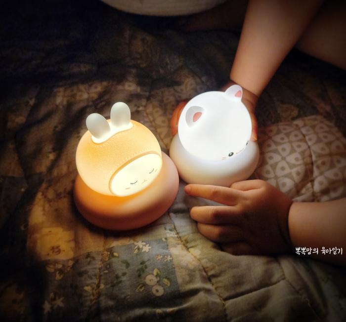 락톡마켓 이미지