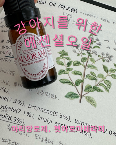 마리앙로제 이미지