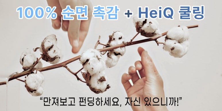신기이불 이미지