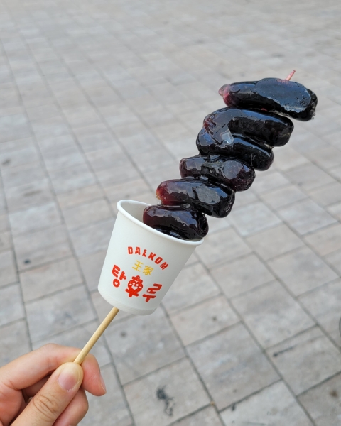 왕가탕후루 이미지