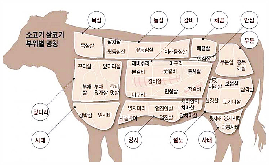 갈비담 이미지