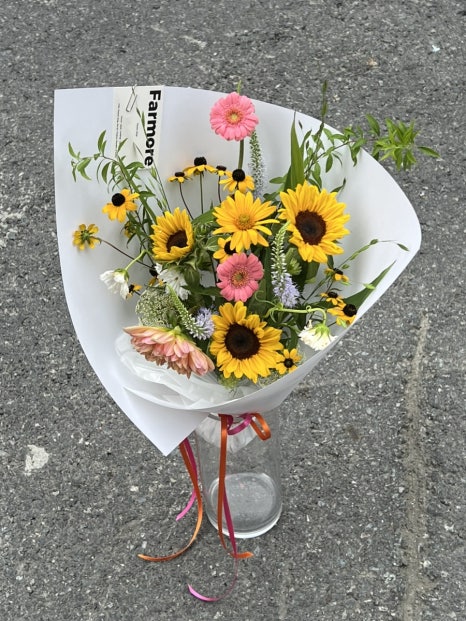파모어 이미지