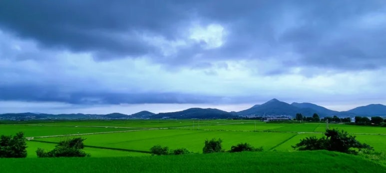 단23(Dan23) 이미지
