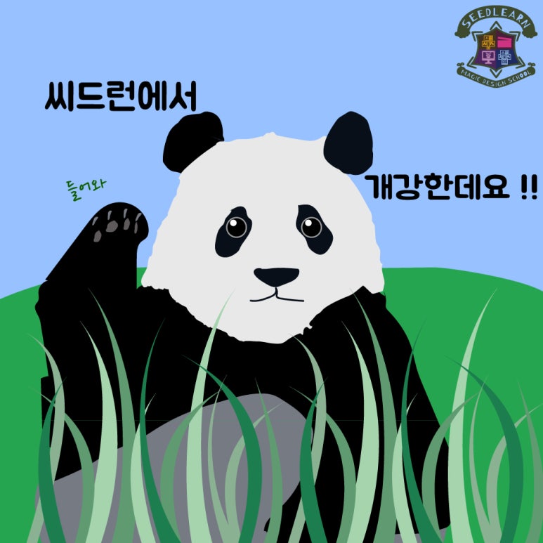 씨드런 이미지