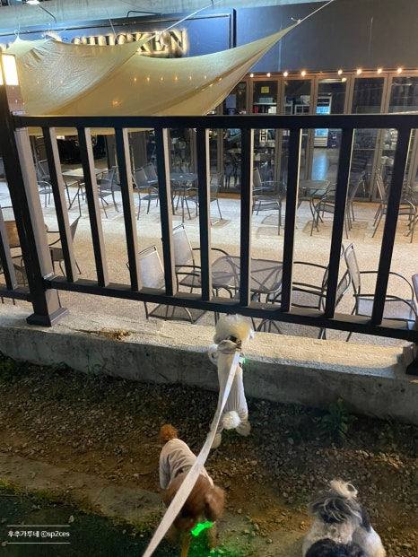 명암담배 이미지