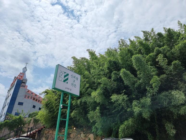 신비숲X가든 이미지