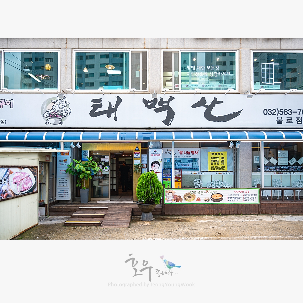 태백산불로점 이미지