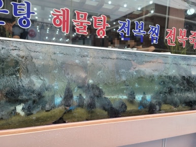 갯바위회타운 이미지