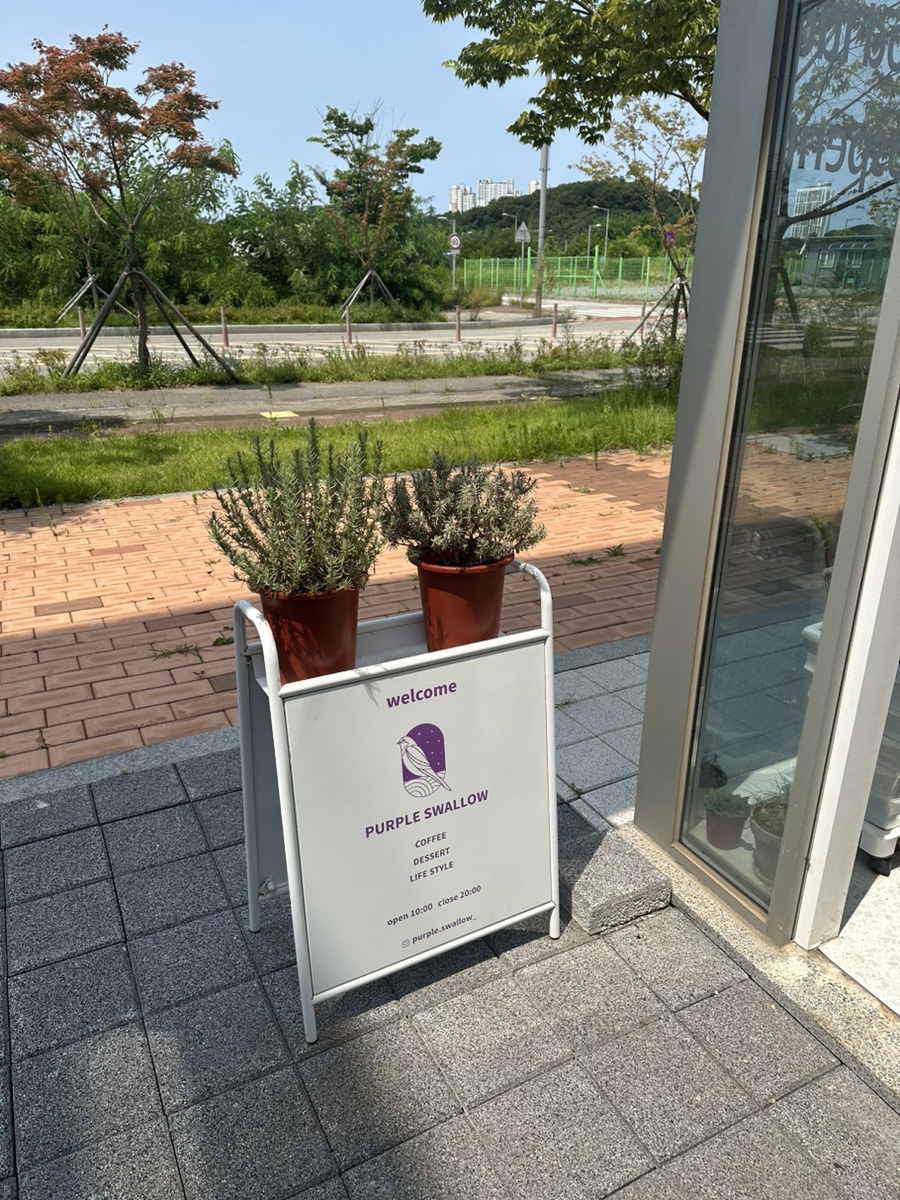 퍼플 스왈로우 이미지