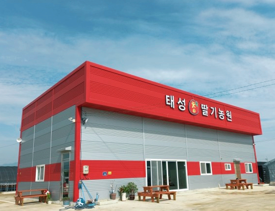 태성참딸기농원 이미지