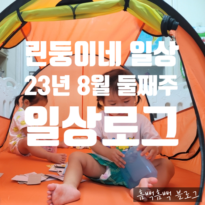 털보손세차장 이미지