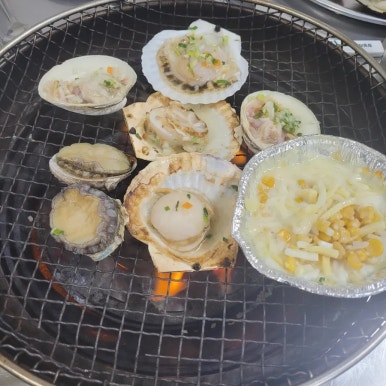 오팔공(580) 이미지