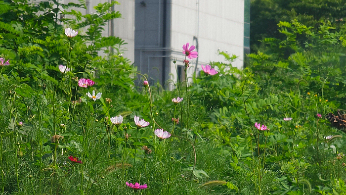 디저트39(충남당진점) 이미지