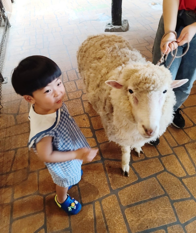엉클슈즈 이미지