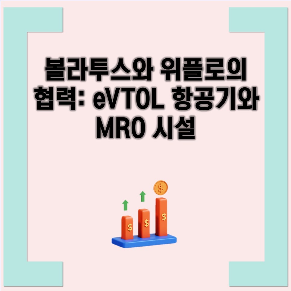 볼라투스 이미지