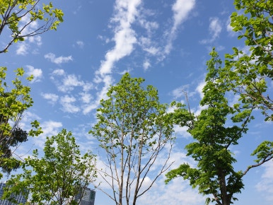 참숯석쇠구이 이미지